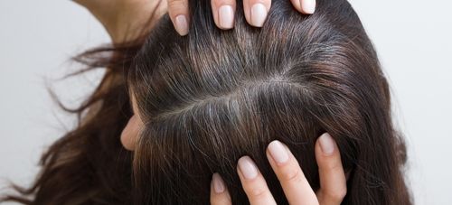 Hair Treatment and Products for Oily Hair
