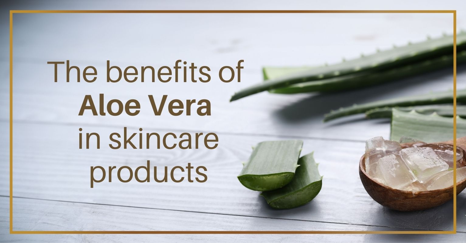 Top 7 Benefits of Aloe Vera in Skincare products
