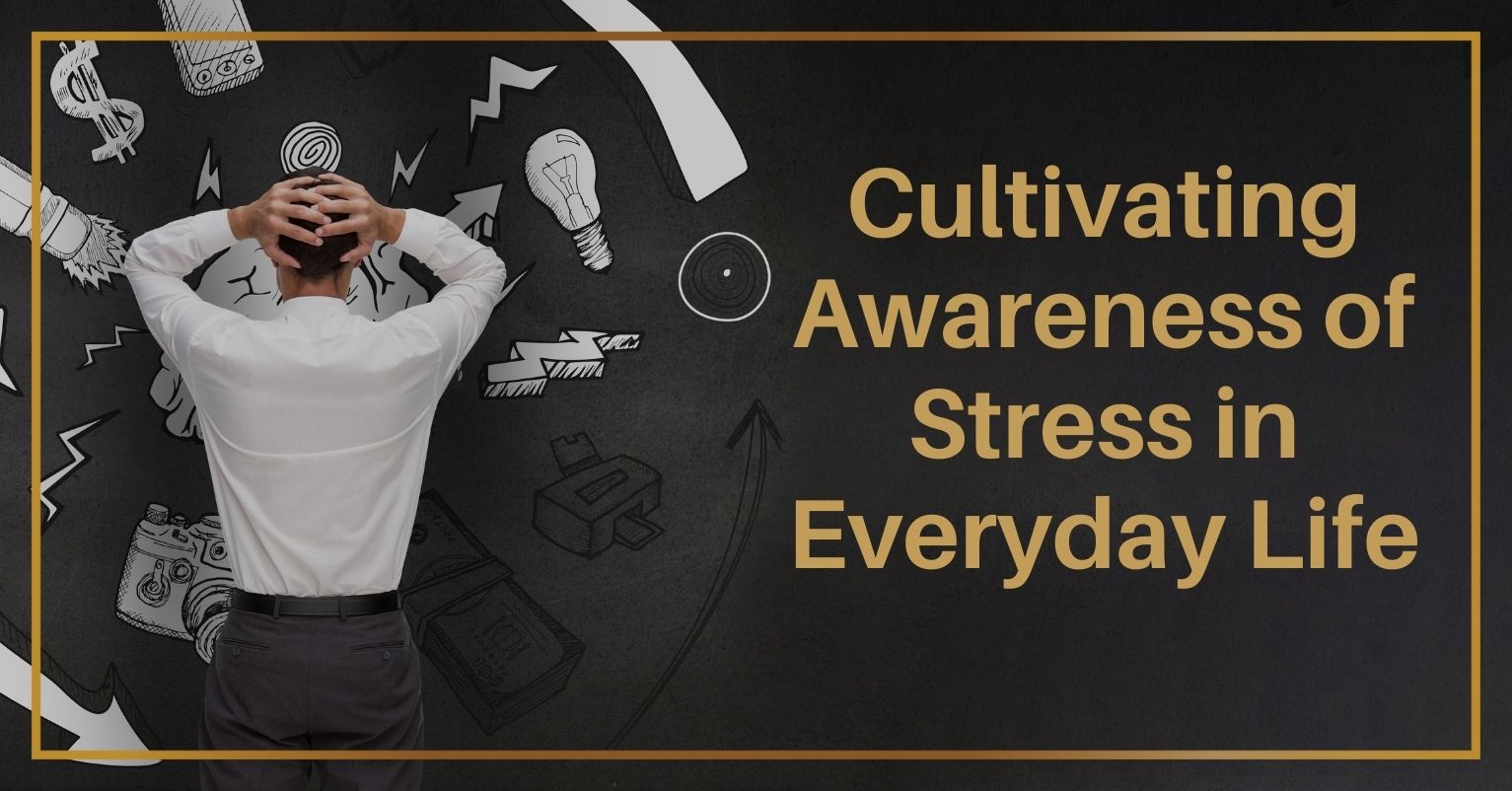 Cultivating Awareness of Stress in Everyday Life